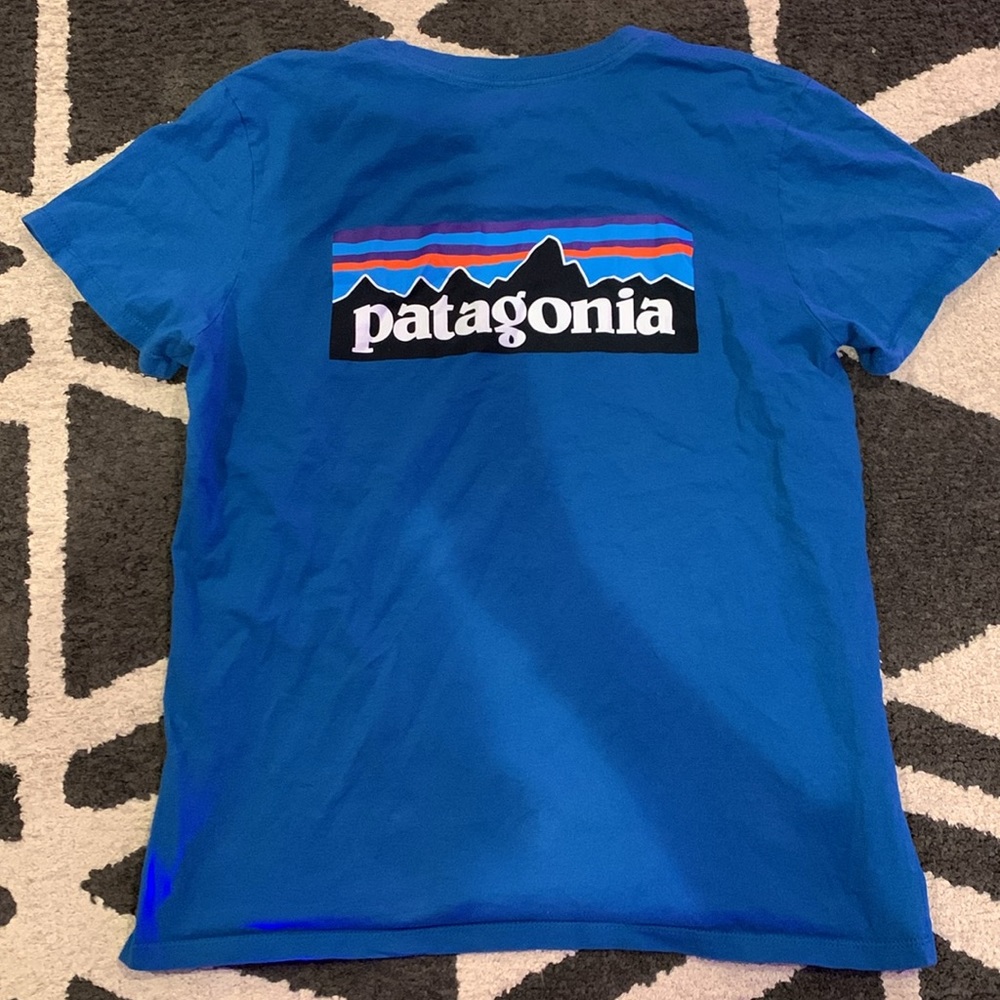 Patagonia, small, regular fit, blue T- shirt - Picture 4 of 4